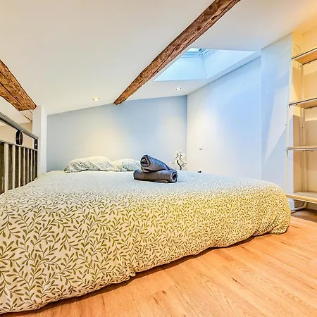 Appartement Duplex D Exception Au Cœur De Clermont-Ferrand