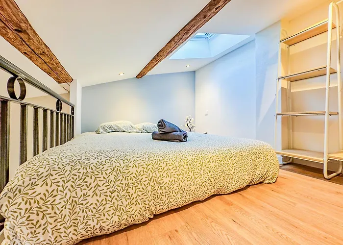 Appartement Duplex D Exception Au Coeur De Clermont-Ferrand