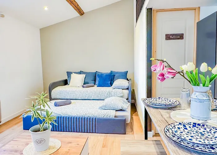 Duplex D Exception Au Coeur De Clermont-Ferrand